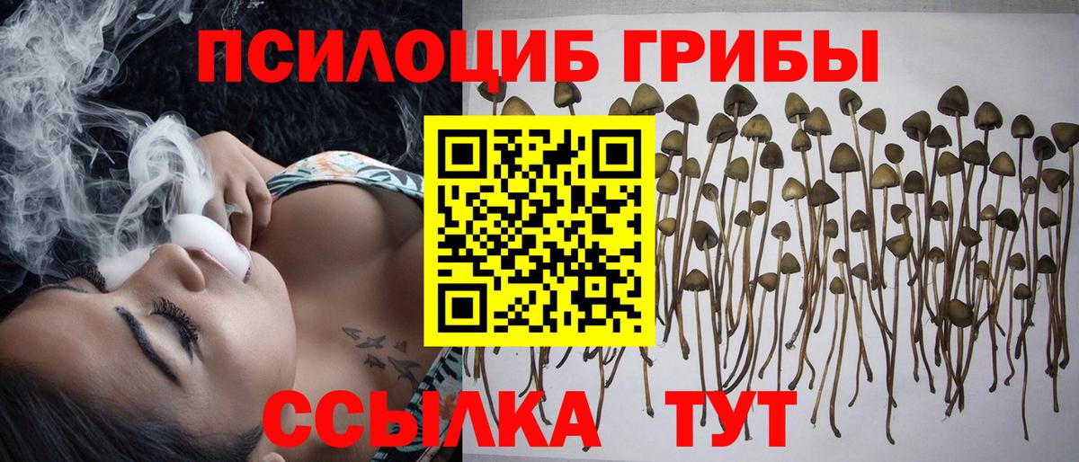 Галлюциногенные грибы ЛСД Гусев