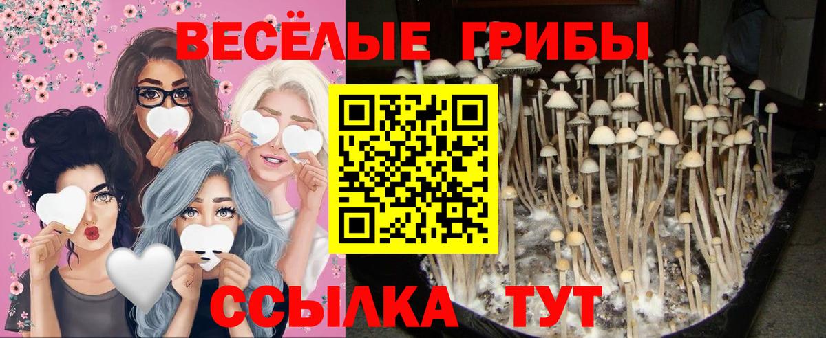 ГАШ Гусев