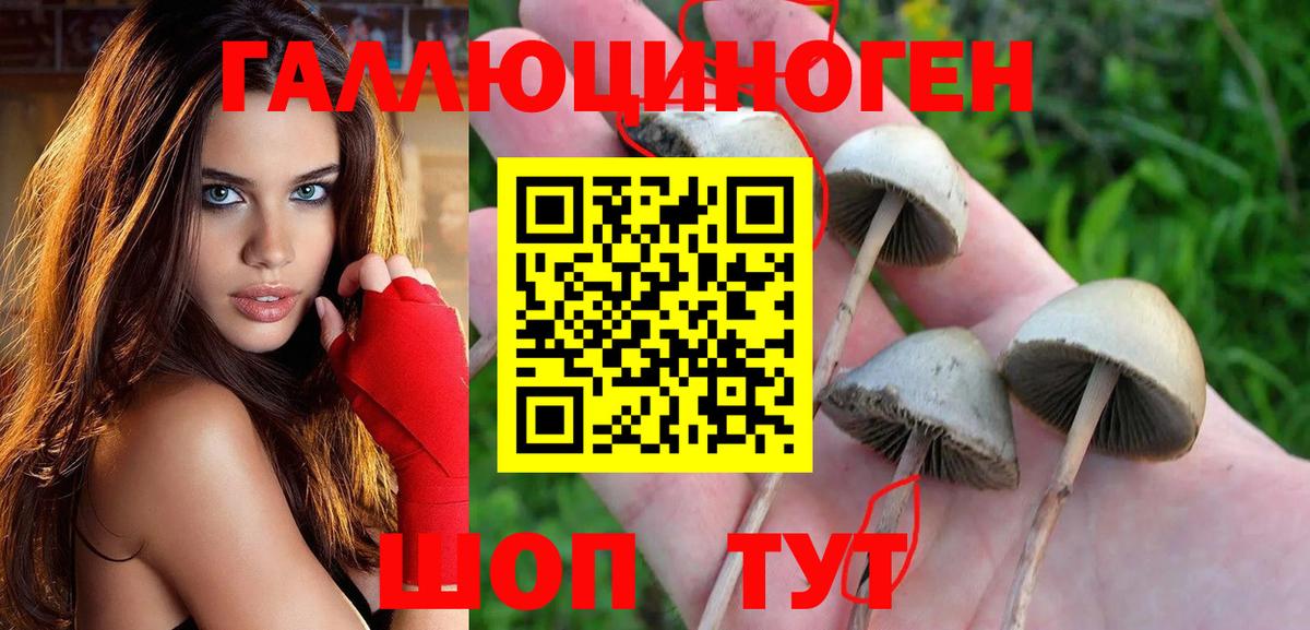 Псилоцибиновые грибы мухоморы  Псилоцибиновые грибы прущие грибы  Гусев  Вход с VPN 